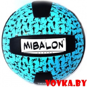 Мяч волейбольный 290г., арт. VT18-12050