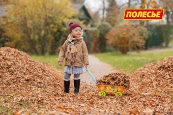 Тележка с ручкой "Простоквашино", арт. 84279