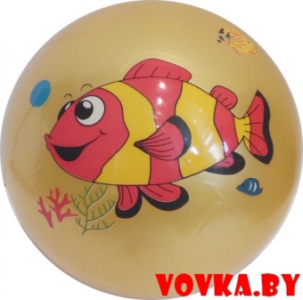 Мяч детский Ausini арт. VT18-11145